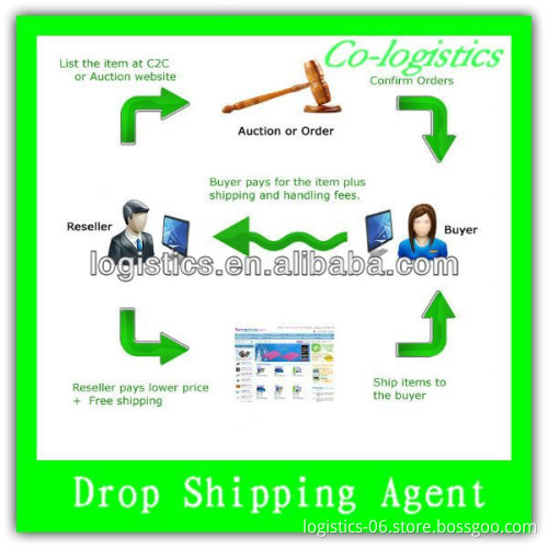 dropship websites for sale